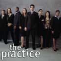 The Practice on Random Best Lawyer TV Shows
