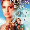 Billy Crystal, Robin Wright, André the Giant   The Princess Bride is a 1987 American romantic comedy fantasy adventure film directed and co-produced by Rob Reiner. It was adapted by William Goldman from his 1973 novel of the same name.