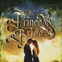 The Princess Bride on Random Best Fantasy Movies Based on Books
