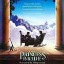 Billy Crystal, Robin Wright, André the Giant   The Princess Bride is a 1987 American romantic comedy fantasy adventure film directed and co-produced by Rob Reiner. It was adapted by William Goldman from his 1973 novel of the same name.