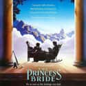The Princess Bride on Random Best Family Movies Rated PG