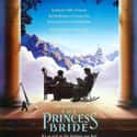 The Princess Bride on Random Best Comedies Rated PG