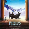 The Princess Bride on Random Best Family Movies Rated PG-13