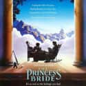 The Princess Bride on Random Best Adventure Movies for Kids