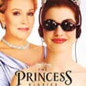 The Princess Diaries on Random Best Princess Movies