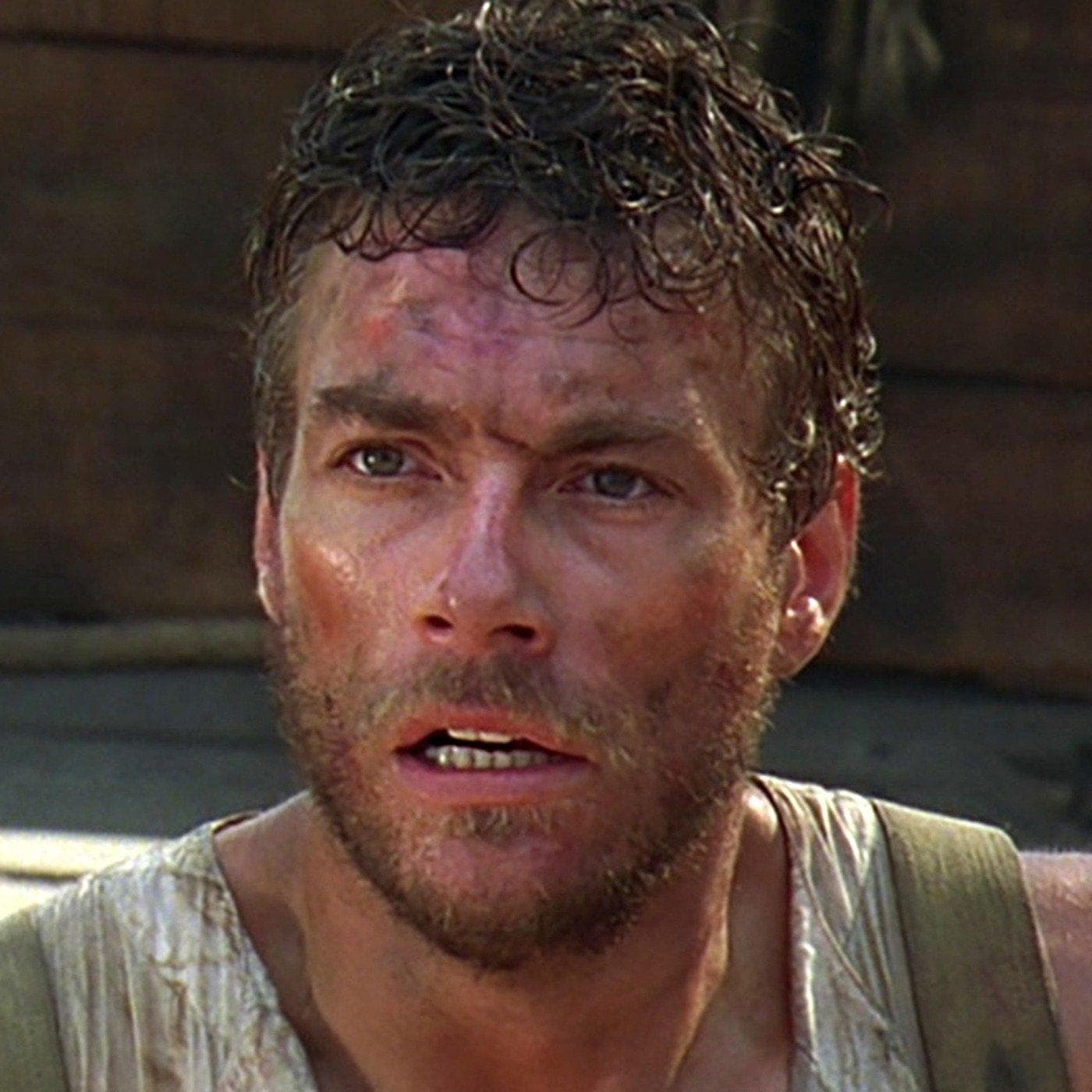 The 50+ Best MMA Movies Of AllTime, Ranked By Fans