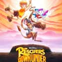 1990   The Rescuers Down Under is a 1990 American animated adventure film produced by Walt Disney Feature Animation and released by Walt Disney Pictures on November 16, 1990.