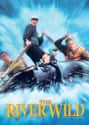 The River Wild on Random Best 90s Action Movies On Netflix