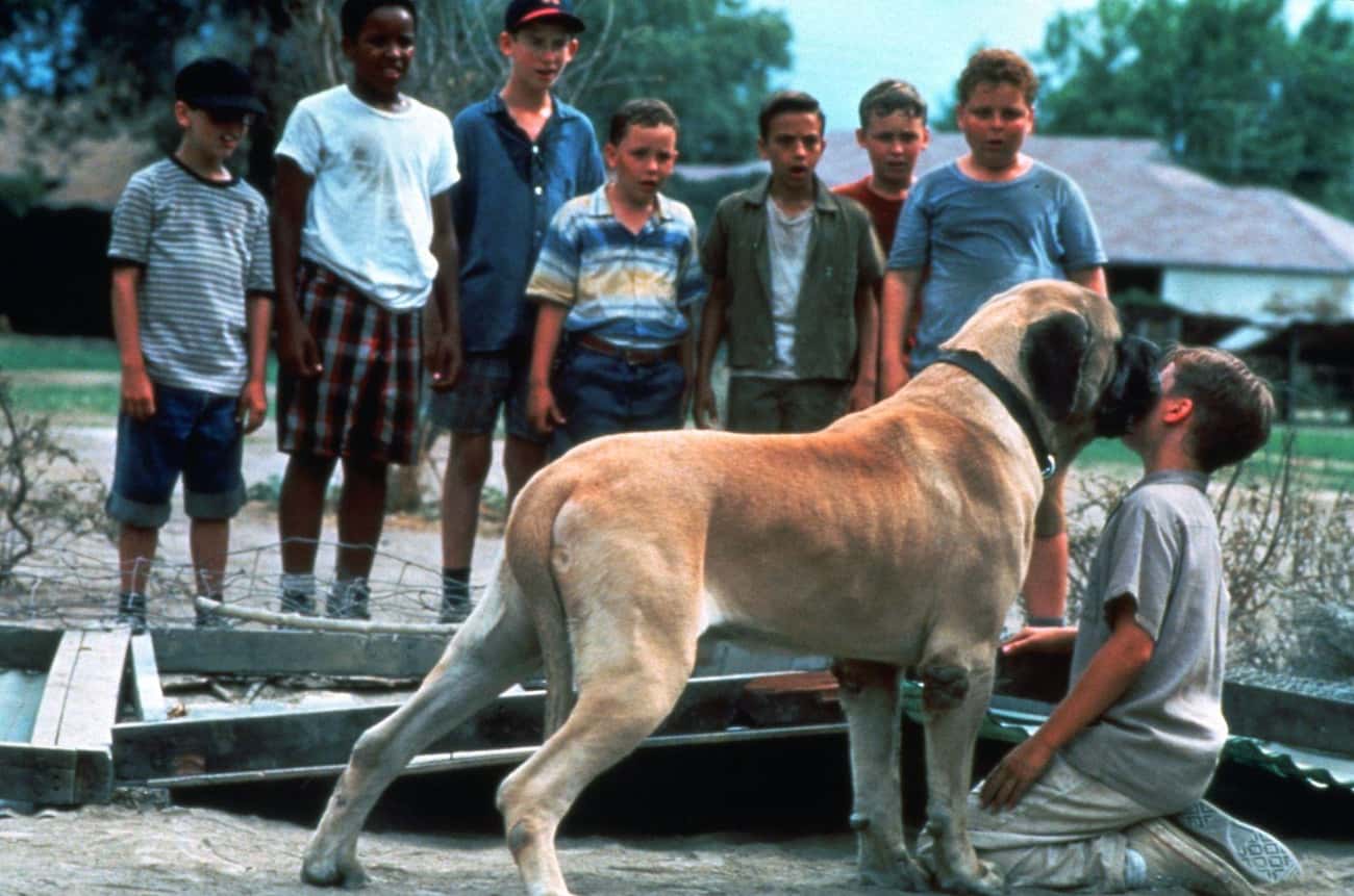 In ‘The Sandlot,’ The Kids Band Together To Save The Beast - And The Humbled Dog Thanks Them