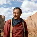 The Searchers on Random Hugely Popular Movies That Originally Flopped
