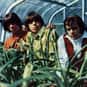 The Seeds is listed (or ranked) 18 on the list Bands/Artists With Only One Great Album