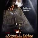 The Serpent and the Rainbow on Random Best Zombie Movies