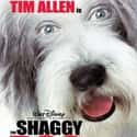 The Shaggy Dog on Random Greatest Animal Movies