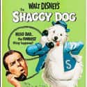 The Shaggy Dog [1959] on Random Greatest Dog Movies