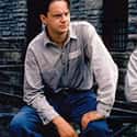 The Shawshank Redemption on Random Movies That Actually Taught Us Something