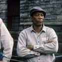 The Shawshank Redemption on Random Authors Who Loved the Movie Adaptations of Their Books