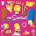 The Simpsons on Random Best Adult Animated Shows