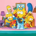 The Simpsons on Random Best Current Animated Series