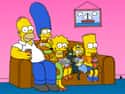 The Simpsons on Random Best Shows to Marathon on a Plane