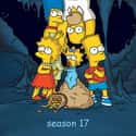 The Simpsons season 17 on Random Best Seasons of 'The Simpsons'