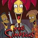 The Simpsons season 19 on Random Best Seasons of 'The Simpsons'
