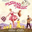 The Sound of Music on Random Musical Movies With Best Songs