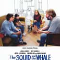 The Squid and the Whale on Random Very Best Movies About Life After Divorce