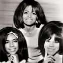 The Supremes on Random Bands Or Artists With Five Great Albums