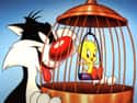 The Sylvester & Tweety Mysteries on Random Best Cartoons