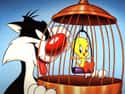 The Sylvester & Tweety Mysteries on Random Best Kids Cartoons