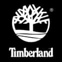 The Timberland Company on Random Best T-Shirt Brands