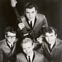 Surfin' Bird, Bird Call! The Twin City Stomp of The Trashmen, Live Bird '65 - '67   Surfin’ Bird, King of the Surf The Trashmen are a rock band formed in Minneapolis, Minnesota, in 1962.