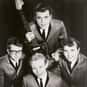 The Trashmen is listed (or ranked) 17 on the list Bands/Artists With Only One Great Album