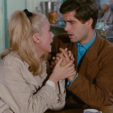 The 20 Best Movies Like 