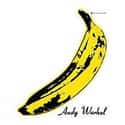 The Velvet Underground & Nico on Random Best Debut Albums