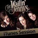 The Wailin' Jennys on Random Best Progressive Bluegrass Bands/Artists