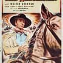 1940   The Westerner is a 1940 American film directed by William Wyler and starring Gary Cooper, Walter Brennan, and Doris Davenport. Written by Niven Busch, Stuart N.