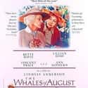 The Whales of August on Random Best Bette Davis Movies