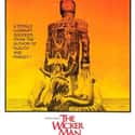The Wicker Man on Random Best Movies About Cults