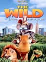 The Wild on Random Best Disney Movies Starring Cats