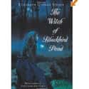 The Witch of Blackbird Pond on Random Young Adult Novels That Should Be Adapted to Film