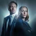 The X-Files on Random Best TV Crime Dramas