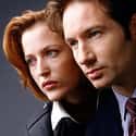 David Duchovny, Gillian Anderson, Mitch Pileggi   The X-Files is an American science fiction horror drama television series created by Chris Carter.