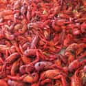 Crawfish tails is listed (or ranked) 6 on the list The Most Popular Food In Each State, According To People Who Actually Live There