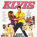 Elvis Presley, Allison Hayes, Jocelyn Lane   Tickle Me is a 1965 American musical comedy film starring Elvis Presley as a champion rodeo bull-rider and bronco-buster.