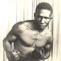 Middleweight   Theodore "Tiger" Flowers was the first African-American middleweight boxing champion, defeating Harry Greb to claim the title in 1926.