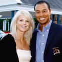 Tiger Woods on Random Most Tragic Celebrity Breakup Stories