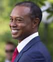 Tiger Woods on Random Most Scandalous Rumored Details of Celebrity Prenups