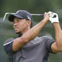 Tiger Woods on Random Celebrities Who Were Caught Cheating