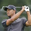 Tiger Woods on Random Celebrities Who Were Caught Cheating